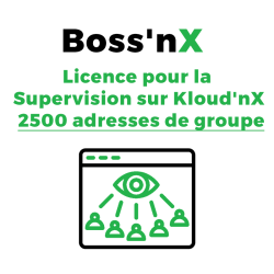 Boss'nX - Licence for supervision on Kloud'nX  - 2,500 KNX group addresses