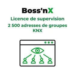 Boss'nX - Licence de supervision